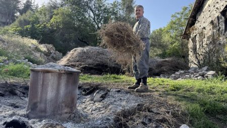 Toroslar’dan topluyor, Avrupa’dan bile sipariş yağıyor! Gramı 18 TL’ye kadar çıkıyor